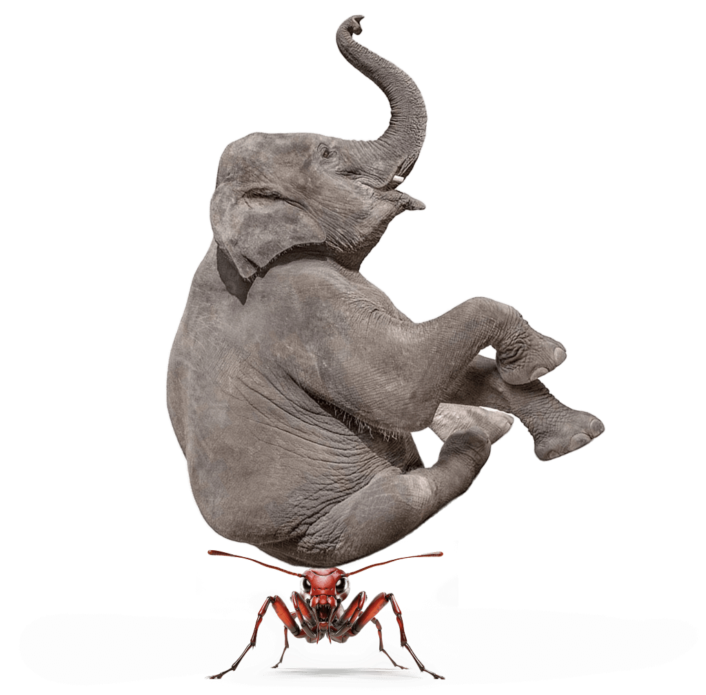 An ant lifting an elephant - Soprix marketing agency in Dubai gives small businesses big impact