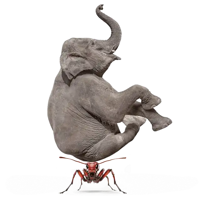An ant lifting an elephant - Soprix Marketing, marketing agency in Dubai: big impact for every business